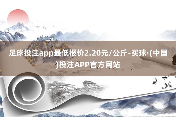 足球投注app最低报价2.20元/公斤-买球·(中国)投注APP官方网站