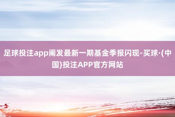 足球投注app阐发最新一期基金季报闪现-买球·(中国)投注APP官方网站