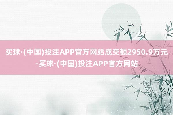 买球·(中国)投注APP官方网站成交额2950.9万元-买球·(中国)投注APP官方网站