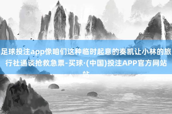 足球投注app像咱们这种临时起意的奏凯让小林的旅行社通谈抢救急票-买球·(中国)投注APP官方网站