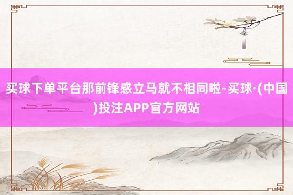 买球下单平台那前锋感立马就不相同啦-买球·(中国)投注APP官方网站