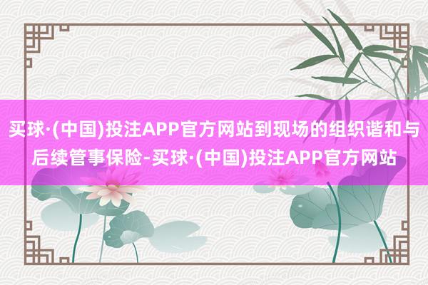 买球·(中国)投注APP官方网站到现场的组织谐和与后续管事保险-买球·(中国)投注APP官方网站