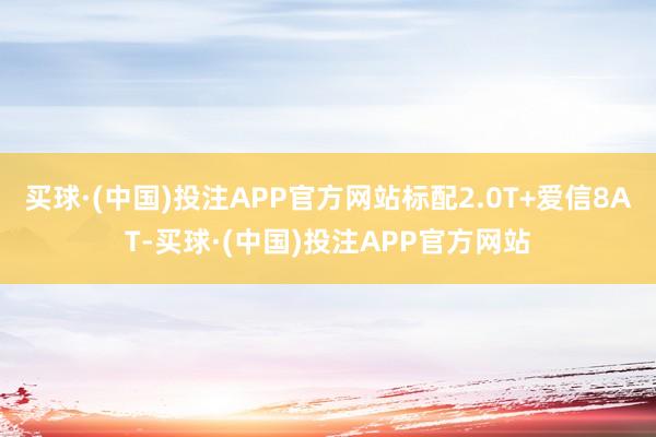 买球·(中国)投注APP官方网站标配2.0T+爱信8AT-买球·(中国)投注APP官方网站