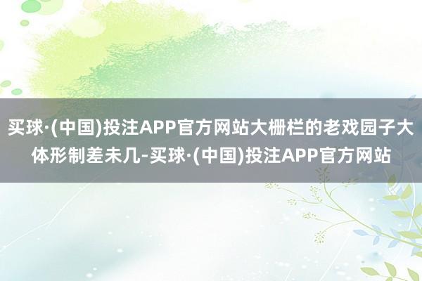 买球·(中国)投注APP官方网站大栅栏的老戏园子大体形制差未几-买球·(中国)投注APP官方网站