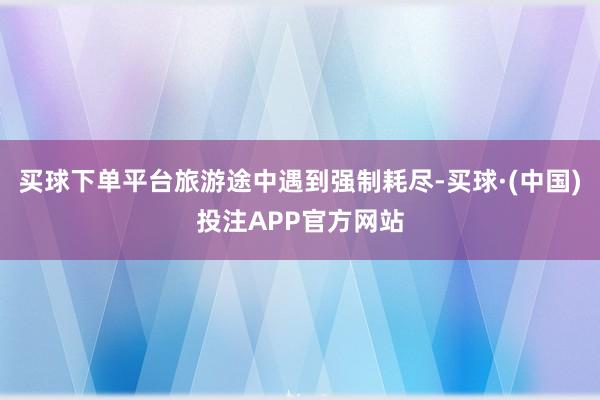 买球下单平台旅游途中遇到强制耗尽-买球·(中国)投注APP官方网站