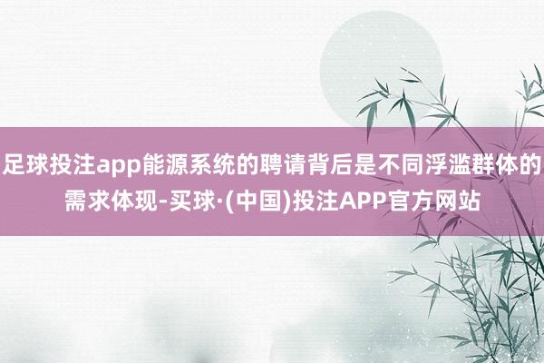 足球投注app能源系统的聘请背后是不同浮滥群体的需求体现-买球·(中国)投注APP官方网站