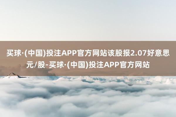 买球·(中国)投注APP官方网站该股报2.07好意思元/股-买球·(中国)投注APP官方网站