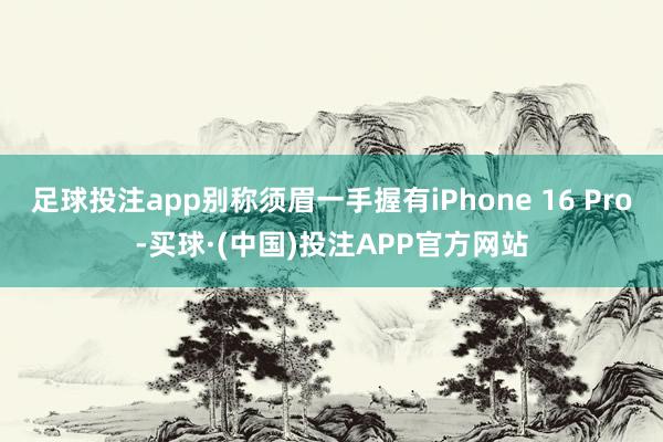 足球投注app别称须眉一手握有iPhone 16 Pro-买球·(中国)投注APP官方网站