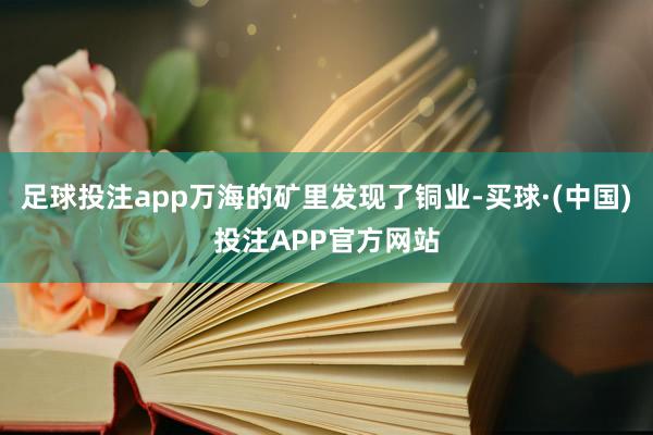 足球投注app万海的矿里发现了铜业-买球·(中国)投注APP官方网站