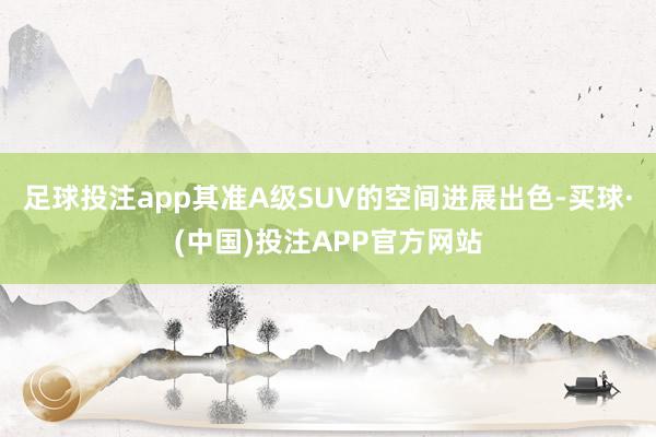足球投注app其准A级SUV的空间进展出色-买球·(中国)投注APP官方网站