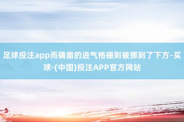 足球投注app而确凿的进气格栅则被挪到了下方-买球·(中国)投注APP官方网站