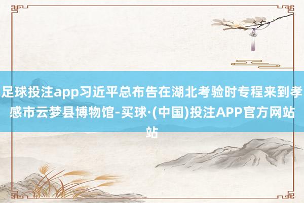 足球投注app习近平总布告在湖北考验时专程来到孝感市云梦县博物馆-买球·(中国)投注APP官方网站