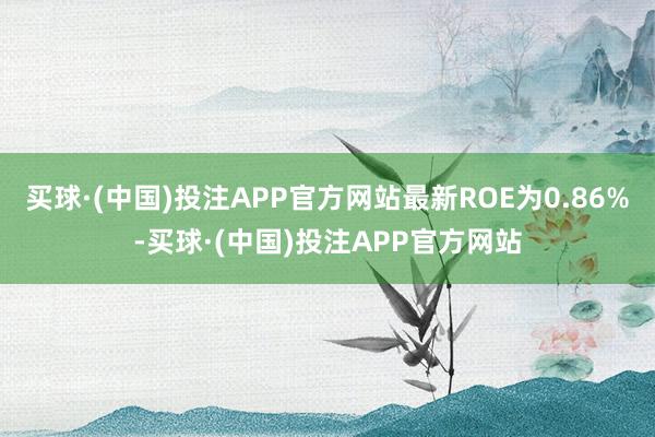 买球·(中国)投注APP官方网站最新ROE为0.86%-买球·(中国)投注APP官方网站