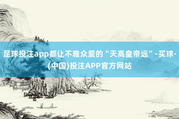 足球投注app都让不雅众爱的“天高皇帝远”-买球·(中国)投注APP官方网站