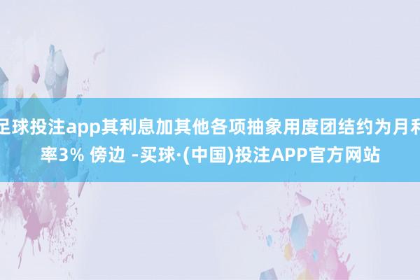 足球投注app其利息加其他各项抽象用度团结约为月利率3% 傍边 -买球·(中国)投注APP官方网站