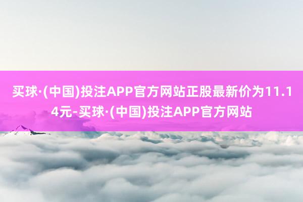 买球·(中国)投注APP官方网站正股最新价为11.14元-买球·(中国)投注APP官方网站