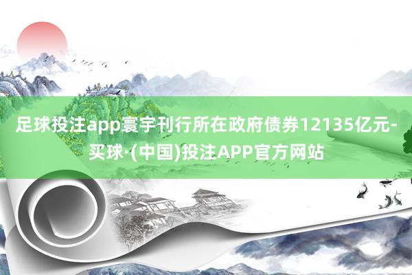 足球投注app寰宇刊行所在政府债券12135亿元-买球·(中国)投注APP官方网站