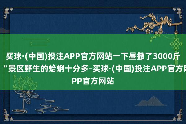 买球·(中国)投注APP官方网站一下昼撒了3000斤！   “景区野生的蛤蜊十分多-买球·(中国)投注APP官方网站