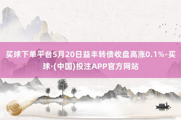 买球下单平台5月20日益丰转债收盘高涨0.1%-买球·(中国)投注APP官方网站