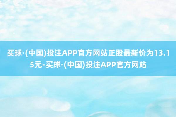 买球·(中国)投注APP官方网站正股最新价为13.15元-买球·(中国)投注APP官方网站