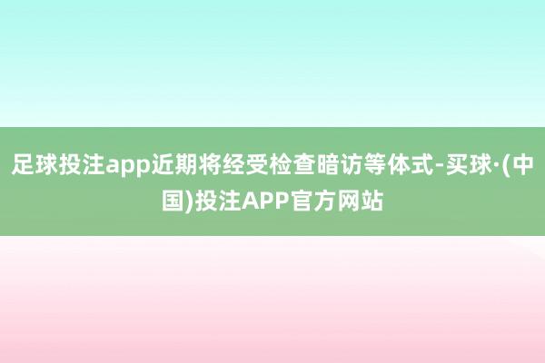 足球投注app近期将经受检查暗访等体式-买球·(中国)投注APP官方网站