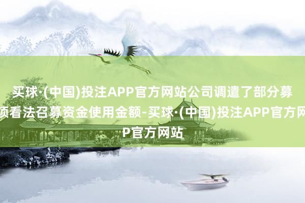 买球·(中国)投注APP官方网站公司调遣了部分募投项看法召募资金使用金额-买球·(中国)投注APP官方网站