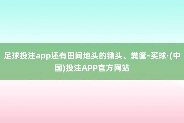 足球投注app还有田间地头的锄头、粪筐-买球·(中国)投注APP官方网站
