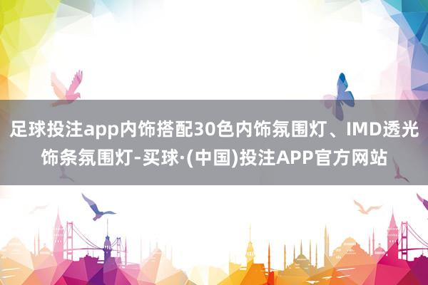 足球投注app内饰搭配30色内饰氛围灯、IMD透光饰条氛围灯-买球·(中国)投注APP官方网站