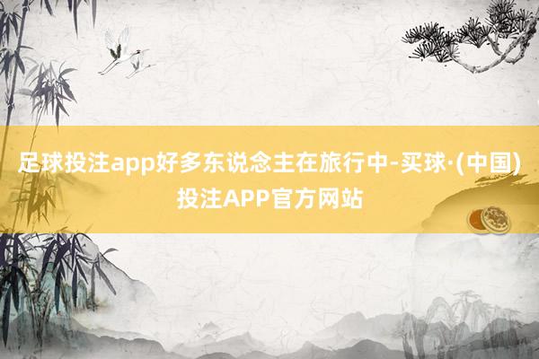 足球投注app好多东说念主在旅行中-买球·(中国)投注APP官方网站