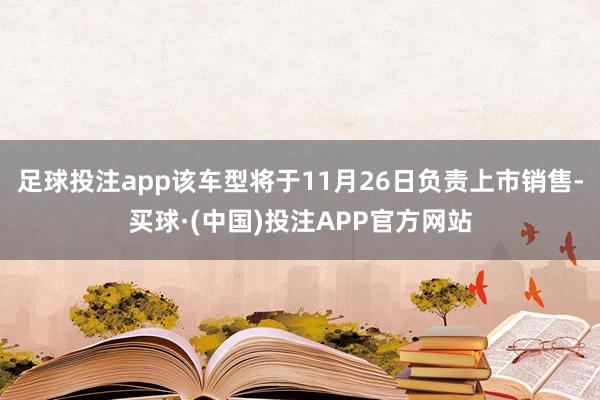 足球投注app该车型将于11月26日负责上市销售-买球·(中国)投注APP官方网站