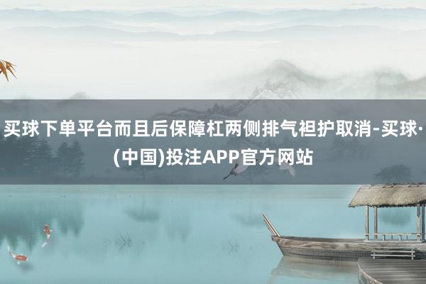 买球下单平台而且后保障杠两侧排气袒护取消-买球·(中国)投注APP官方网站