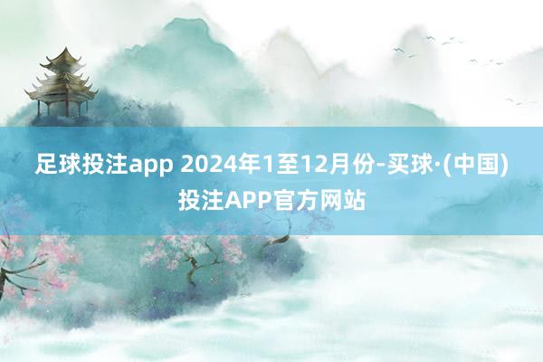 足球投注app 　　2024年1至12月份-买球·(中国)投注APP官方网站