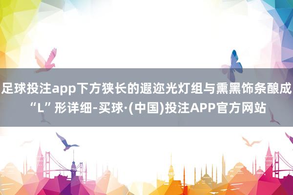 足球投注app下方狭长的遐迩光灯组与熏黑饰条酿成“L”形详细-买球·(中国)投注APP官方网站