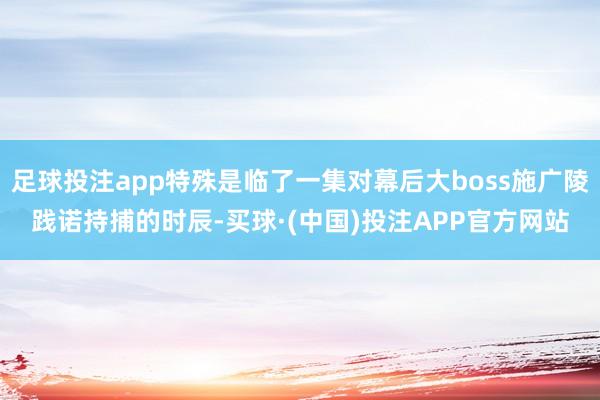 足球投注app特殊是临了一集对幕后大boss施广陵践诺持捕的时辰-买球·(中国)投注APP官方网站