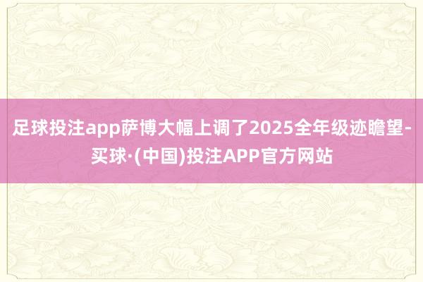 足球投注app萨博大幅上调了2025全年级迹瞻望-买球·(中国)投注APP官方网站
