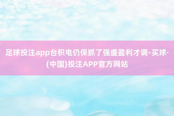 足球投注app台积电仍保抓了强盛盈利才调-买球·(中国)投注APP官方网站