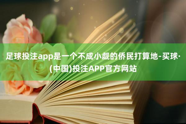 足球投注app是一个不成小觑的侨民打算地-买球·(中国)投注APP官方网站