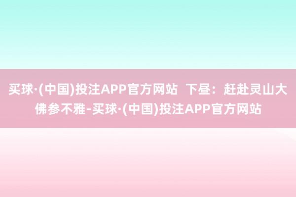 买球·(中国)投注APP官方网站  下昼：赶赴灵山大佛参不雅-买球·(中国)投注APP官方网站