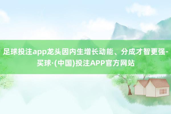 足球投注app龙头因内生增长动能、分成才智更强-买球·(中国)投注APP官方网站