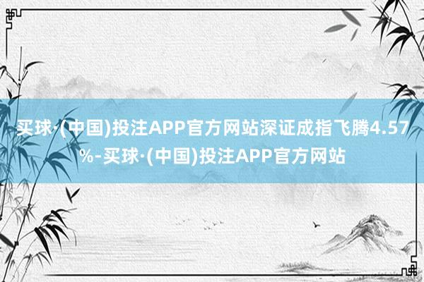 买球·(中国)投注APP官方网站深证成指飞腾4.57%-买球·(中国)投注APP官方网站