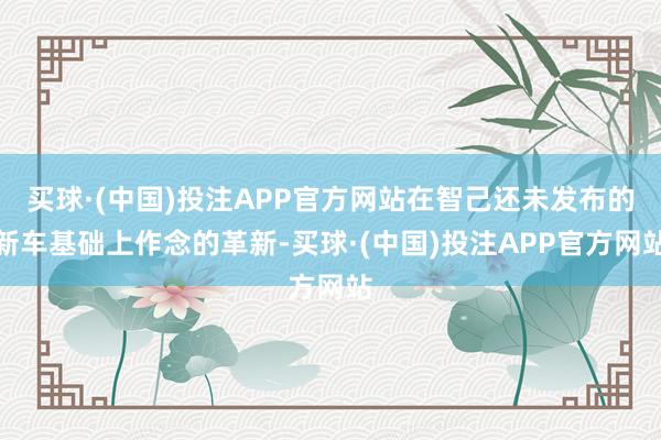 买球·(中国)投注APP官方网站在智己还未发布的新车基础上作念的革新-买球·(中国)投注APP官方网站