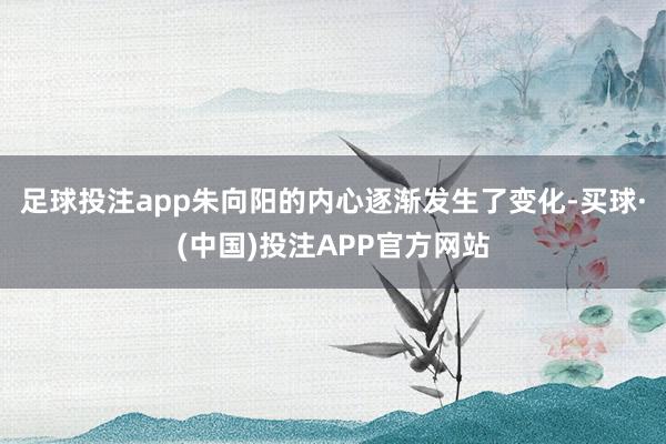 足球投注app朱向阳的内心逐渐发生了变化-买球·(中国)投注APP官方网站