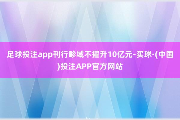 足球投注app刊行畛域不擢升10亿元-买球·(中国)投注APP官方网站