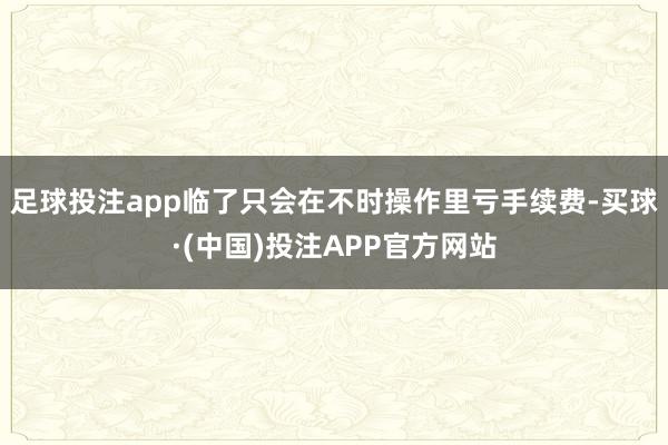 足球投注app临了只会在不时操作里亏手续费-买球·(中国)投注APP官方网站