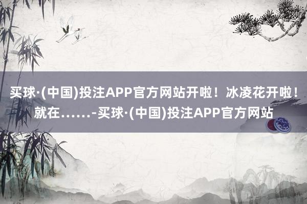 买球·(中国)投注APP官方网站开啦!冰凌花开啦!就在……-买球·(中国)投注APP官方网站