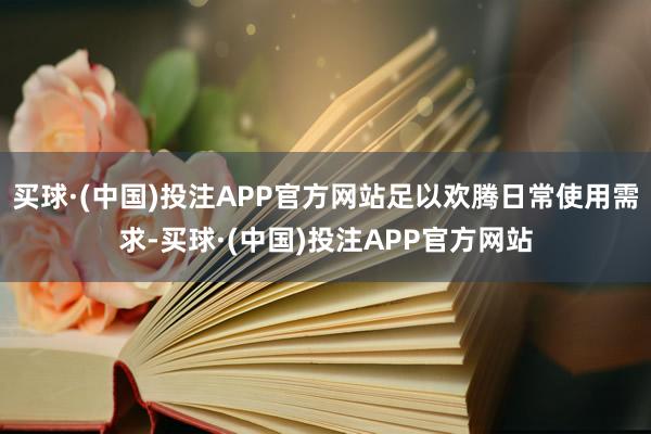 买球·(中国)投注APP官方网站足以欢腾日常使用需求-买球·(中国)投注APP官方网站