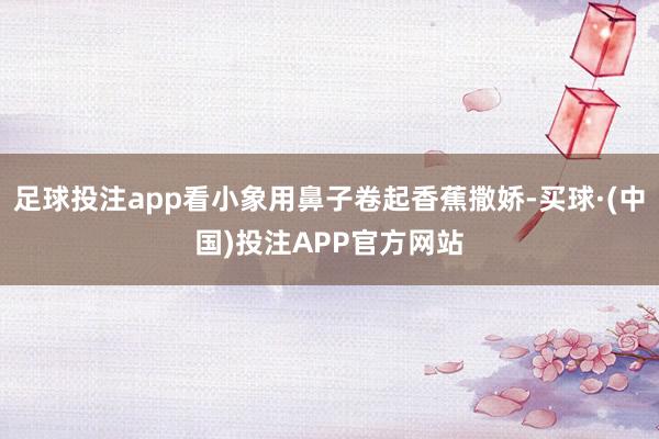 足球投注app看小象用鼻子卷起香蕉撒娇-买球·(中国)投注APP官方网站