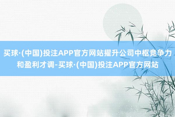 买球·(中国)投注APP官方网站擢升公司中枢竞争力和盈利才调-买球·(中国)投注APP官方网站