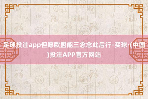 足球投注app但愿欧盟能三念念此后行-买球·(中国)投注APP官方网站