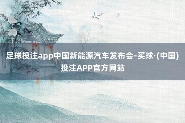 足球投注app中国新能源汽车发布会-买球·(中国)投注APP官方网站